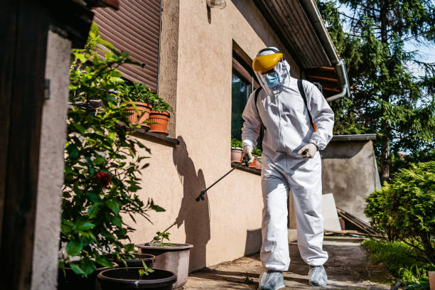 Best Emergency Pest Control  in Fort Payne, AL