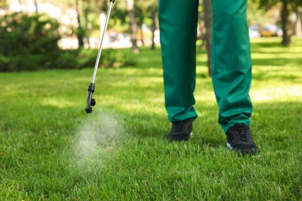 Best Local Pest Control Services  in Fort Payne, AL