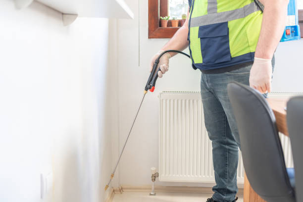 Best Wasp Removal Services  in Fort Payne, AL