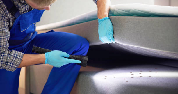Best Best Pest Control Companies  in Fort Payne, AL