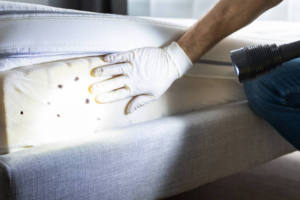 Best Pest Prevention Services  in Fort Payne, AL